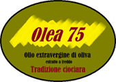 Olea 75
